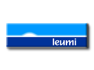 Bank leumi Logo